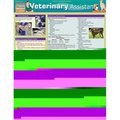 Barcharts BarCharts 9781423216728 Veterinary Assistant Quickstudy Easel 9781423216728